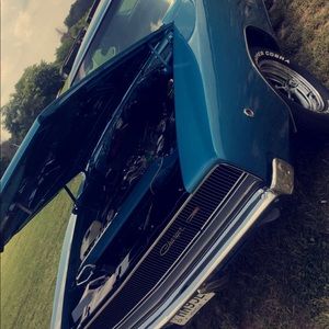 Meet your Posher, Austin